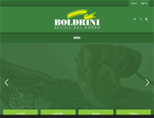 Tablet Screenshot of boldrini.it