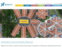 Tablet Screenshot of boldrini.org.br
